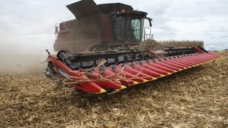 24 Row Corn Head Geringhoff Rota Disc [upl. by Brasca379]