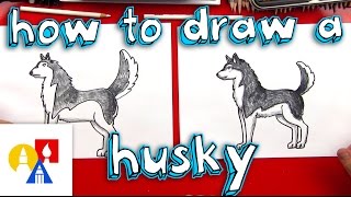 How To Draw A Husky [upl. by Meunier623]