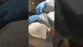 Sterile Gloves and fingertip testing [upl. by Juli]