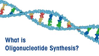 What is Oligonucleotide Synthesis [upl. by Orestes]