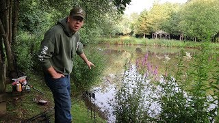 How to Catch Carp in a Small Pond  Carp Fishing England Baits and Rigs [upl. by Larue378]