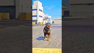 Devil found the true meaning of love in a dogs loyalty  gta5 shorts trending viralshorts [upl. by Ciapha]