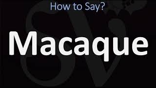 How to Pronounce Macaque CORRECTLY [upl. by Fisk]