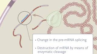 Treating Disease at the RNA Level with Oligonucleotides [upl. by Sprage]