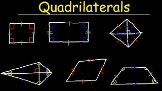 Quadrilaterals  Geometry [upl. by Fulviah]