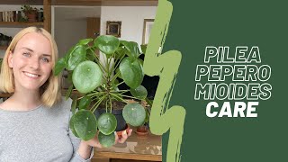 Pilea Peperomioides care 🌱  Watering propagation common problems [upl. by Bridie]