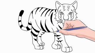 How to Draw a Tiger Easy Step by Step [upl. by Holbrook]