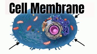 Cell membraneStructure and Function [upl. by Arvind]