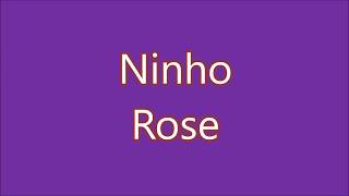 Ninho  Rose Lyrics Paroles [upl. by Zoila293]