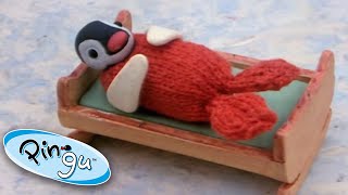 Pingu is Jealous of Pinga  Pingu Official  Cartoons for Kids [upl. by Akilak]