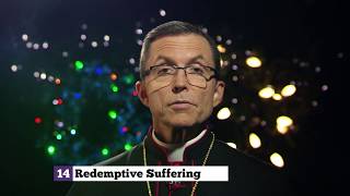 14  Redemptive Suffering  25 Gifts of the Church [upl. by Ferretti]