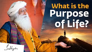 What is the Purpose of Life  Sadhguru [upl. by Enrobso]