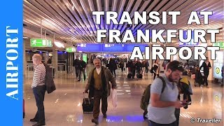 TRANSIT WALK AT FRANKFURT Airport FRA Terminal 1  Connection Flight Transfer Arriving amp Departing [upl. by Oluas]