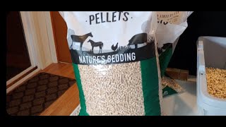 How to switch from cat clay litter to pine pellets [upl. by Musihc583]